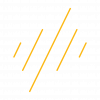 SG Brand Lines_Yellow SG Brand Lines_Yellow